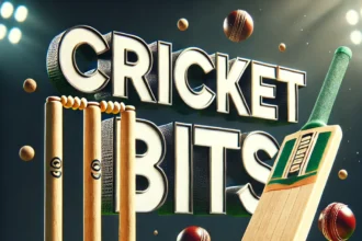 cricket bits